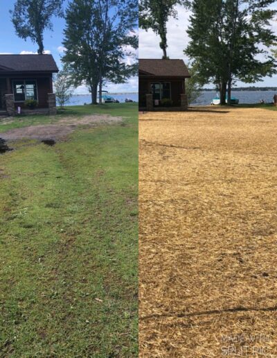 Before and after | Lawn Maintenance
