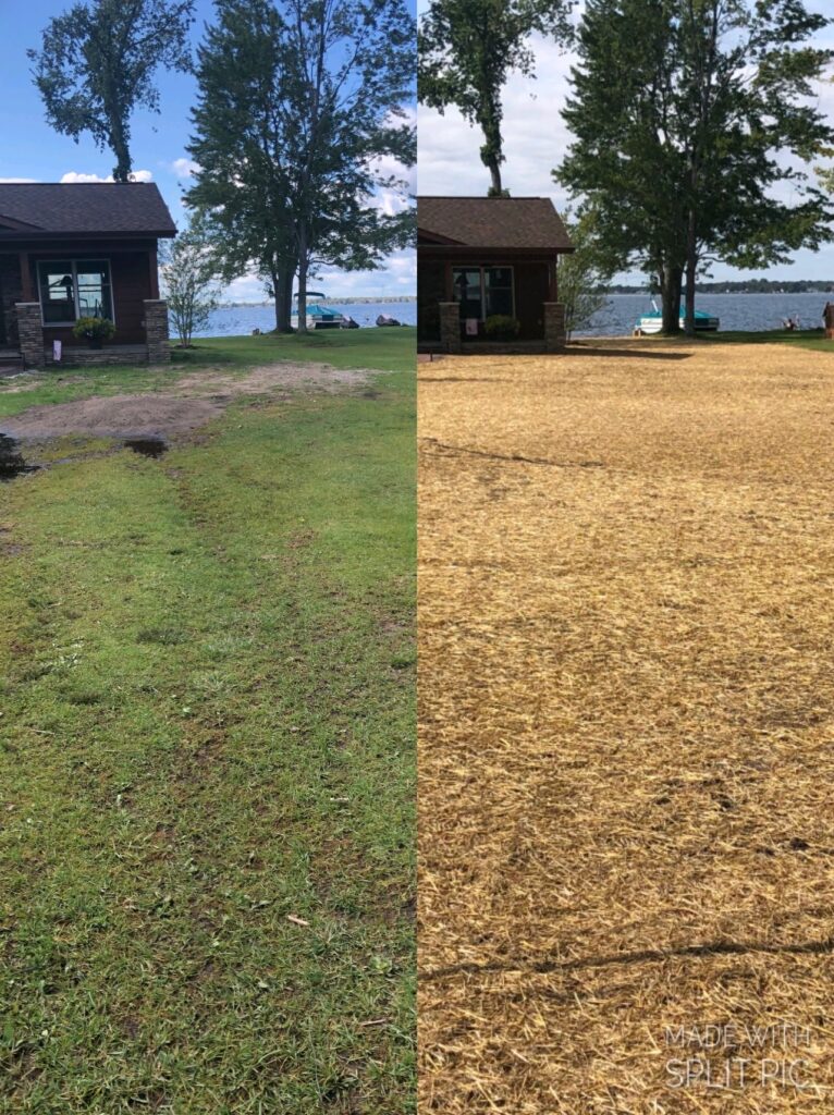 Before and after | Lawn Maintenance
